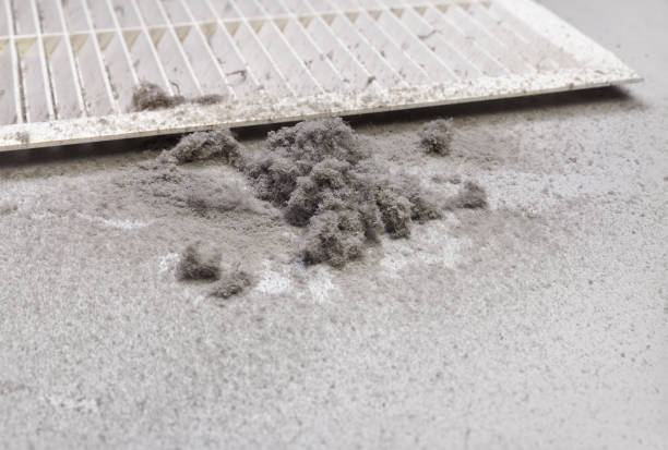 Best HVAC System Cleaning  in Lake Los Angeles, CA