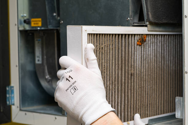 Best Affordable Duct Cleaning Services  in Lake Los Angeles, CA