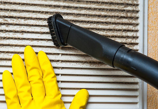 Best Affordable Air Duct Cleaning  in Lake Los Angeles, CA