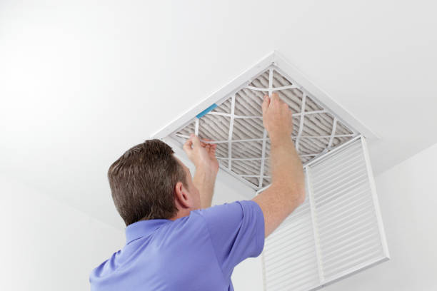 Best Air Duct Cleaning Near Me  in Lake Los Angeles, CA